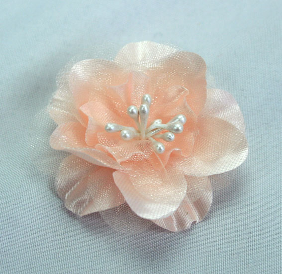 GT-4cm Heirloom Peach Flowers